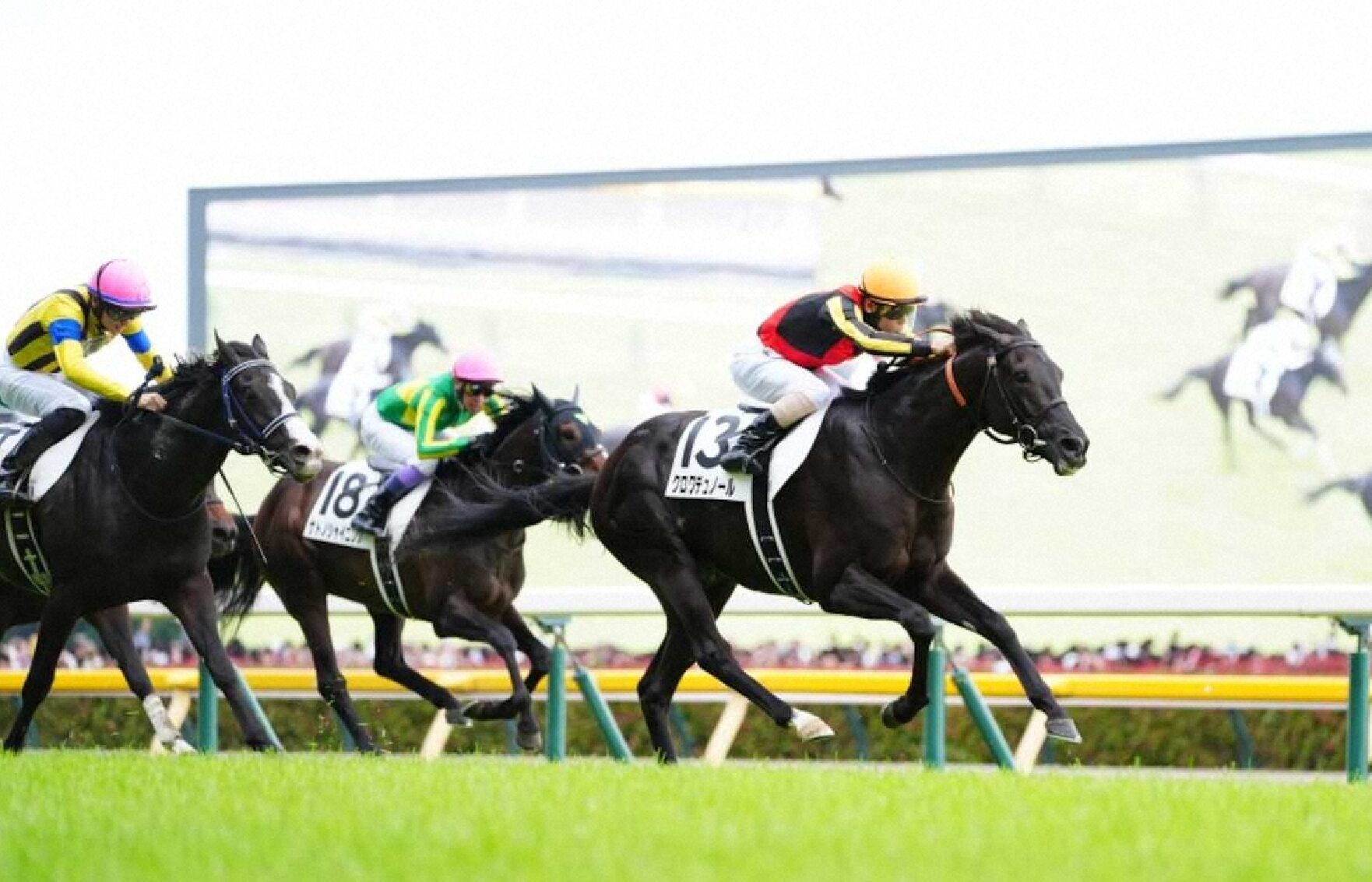 クロワデュノール強し!【2025/6/1/日本ダービー/東京競馬】