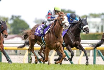 2026年7月4日(土)注目馬☆推薦馬&参考買い目