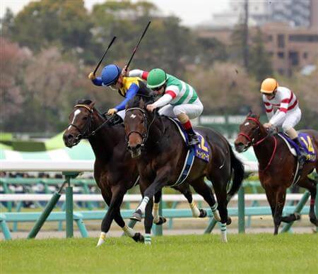 2026年1月31日(土)注目馬☆推薦馬&参考買い目