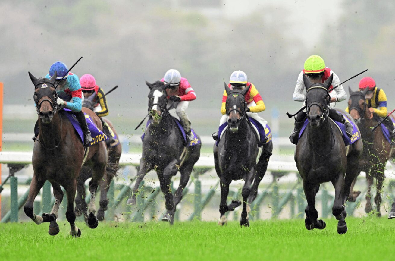 桜花賞を終えて・・・【2025/4/13/阪神競馬】