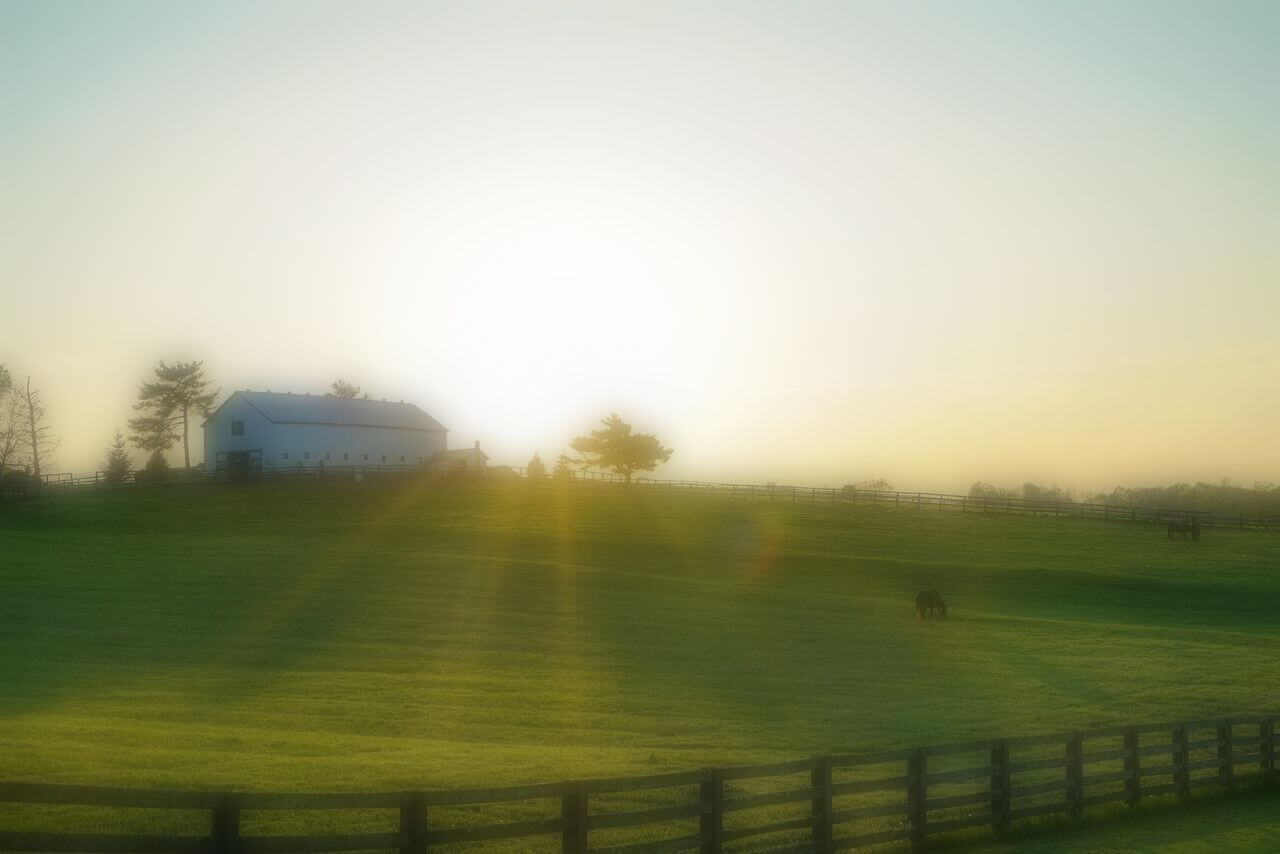 2025年6月1日(日)注目馬☆推薦馬&参考買い目