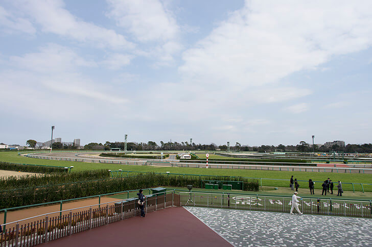 2026年3月14日（土）注目馬☆推薦馬＆参考買い目