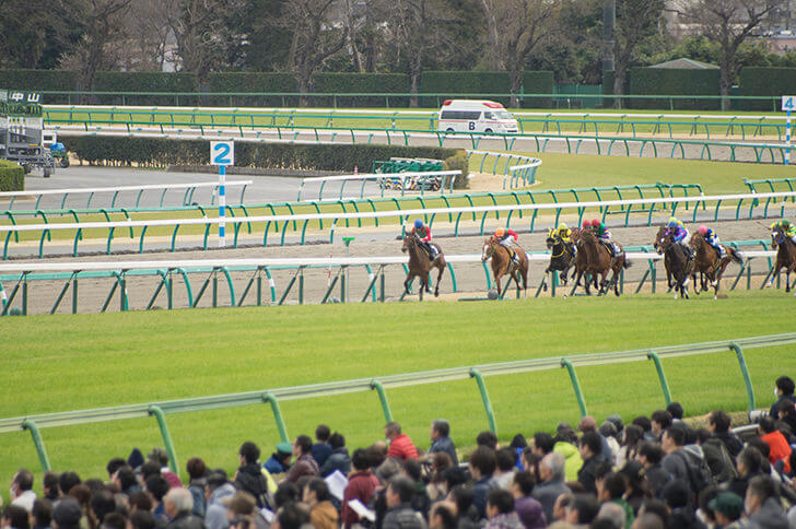 2022年1月22日（土）注目馬☆推薦馬＆参考買い目