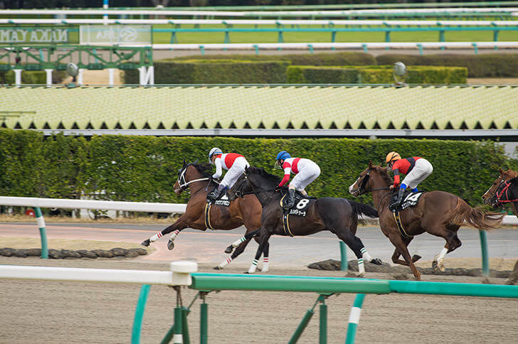 川崎記念（Jpn1）（川崎競馬場）