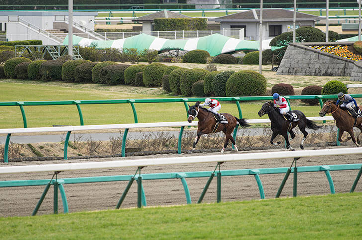 2022年5月22日（日）注目馬☆推薦馬＆参考買い目