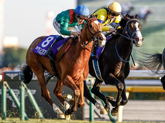 ジャパンカップから得たもの【カランダガン強し!】