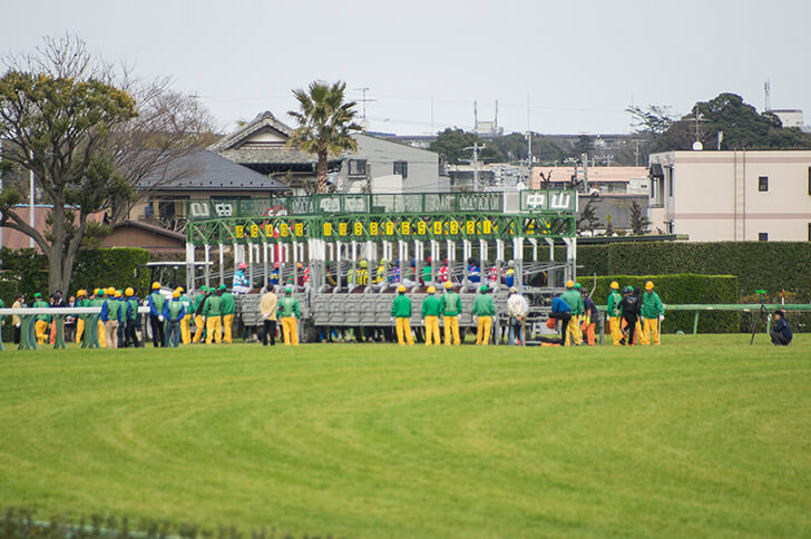 2026年2月1日(日)注目馬☆推薦馬&参考買い目
