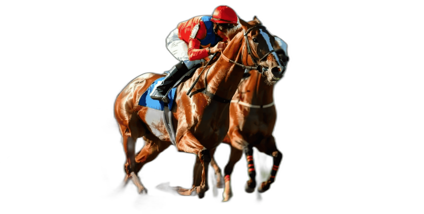 2026年4月4日（土）注目馬☆推薦馬＆参考買い目