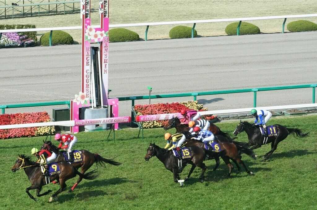 2026年6月14日(日)注目馬☆推薦馬&参考買い目