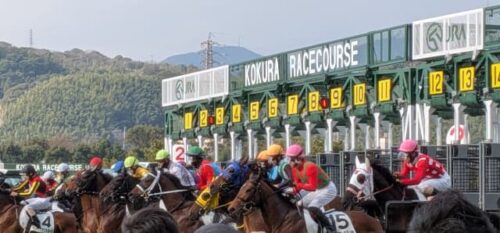 2026年7月5日(日)注目馬☆推薦馬&参考買い目